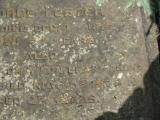 image of grave number 781356